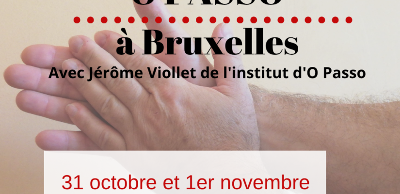 Stage Bruxelles 2026